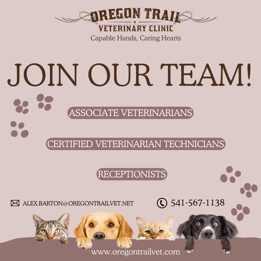 Join our team!